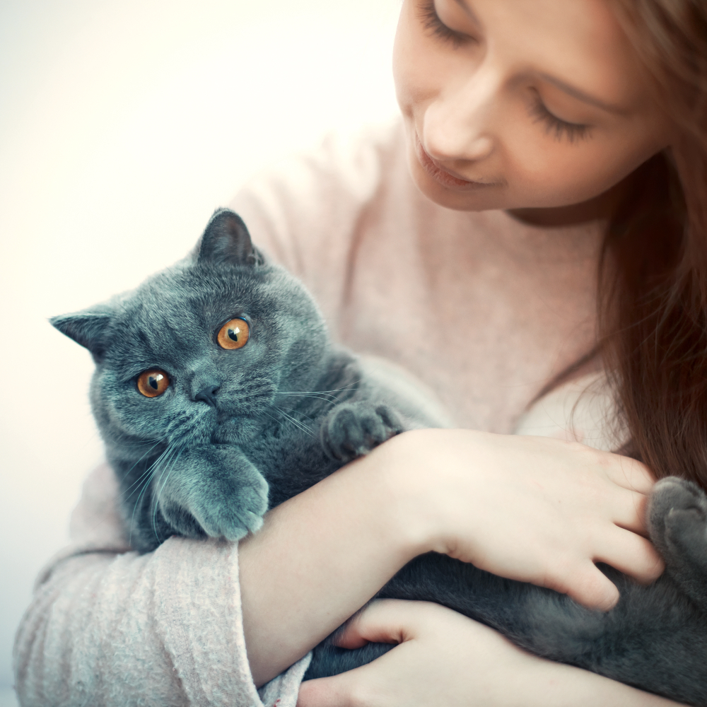 clinica_veterinaria_fidelizacion_clientes