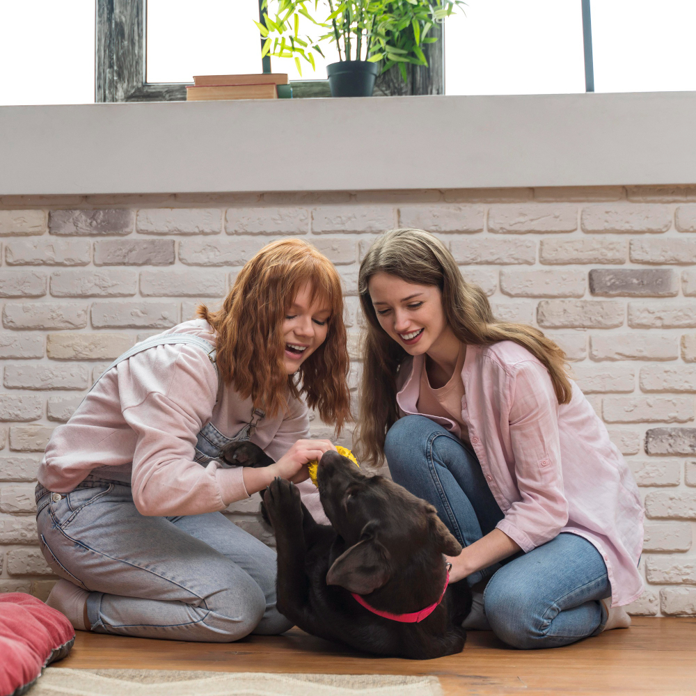 veterinario_cartillas_personalizadas